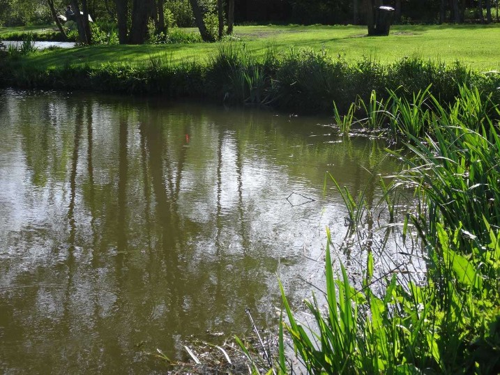 Bank Holiday Fishing Fun In The Sun