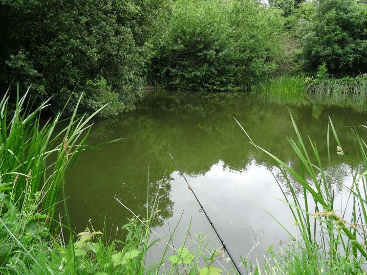 Yet Another Blank Day At Coombe Fishery