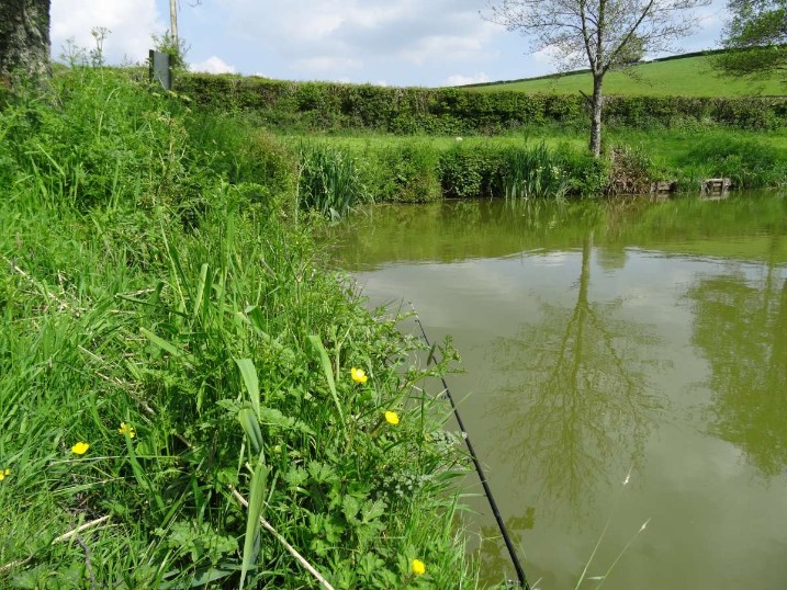 Hot Sunny Day At Milemead