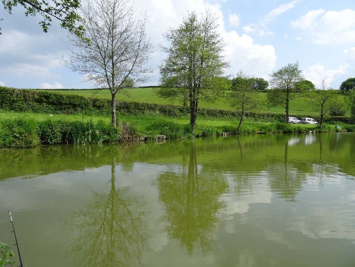 Great Days Fishing At Milemead