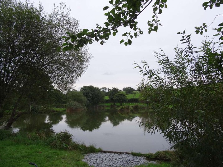 Epic Day At Milemead Fishery At Last