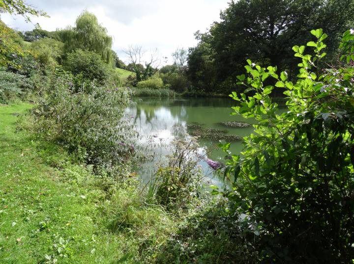 First Trip To Coombe Farm Fishery