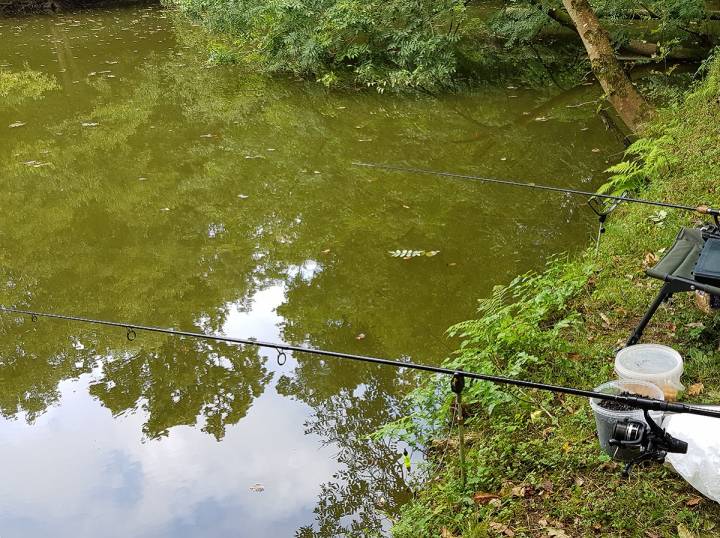 Depressing Day At Neglected Hatchlands Fishery