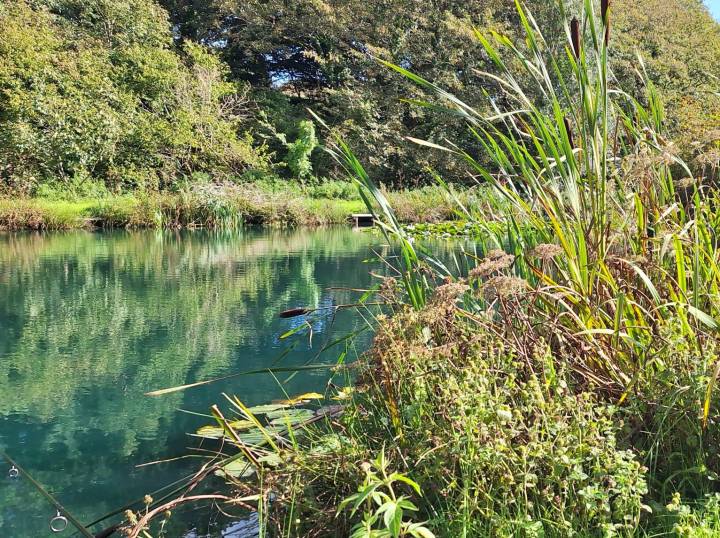 Lovely Day At Bake Lakes Treasure Island