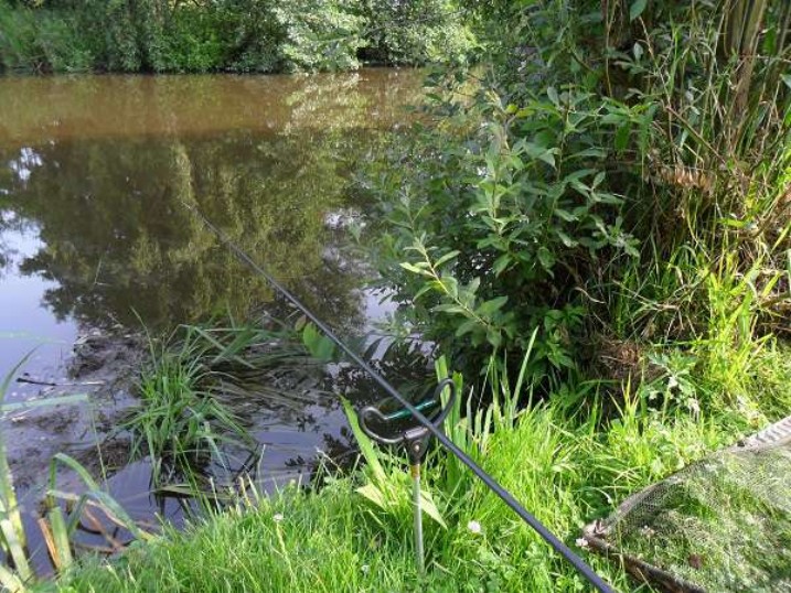 Personal Best Beaten For Tench