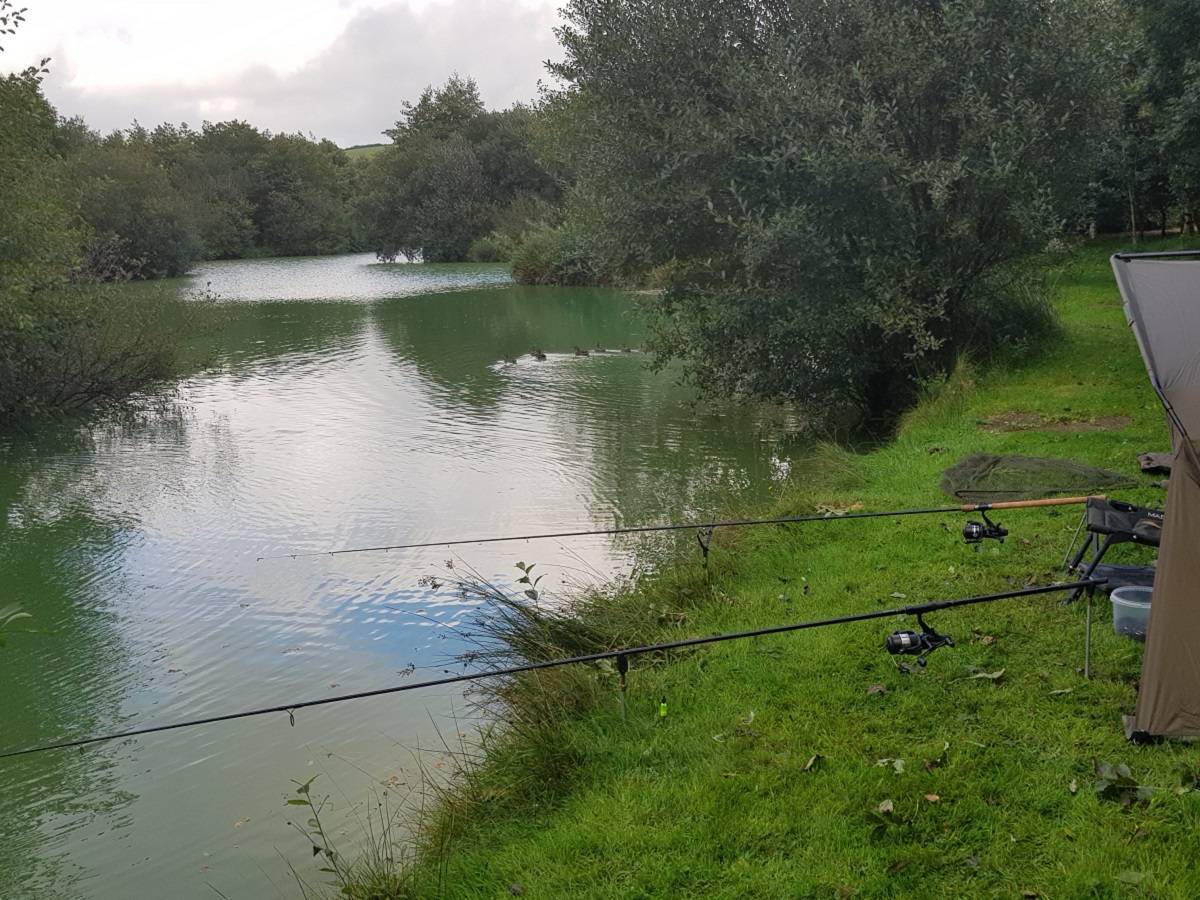 Trip To M And B Fishery