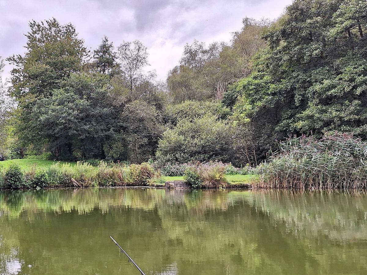 Over Night Stay At Milemead Fisheries