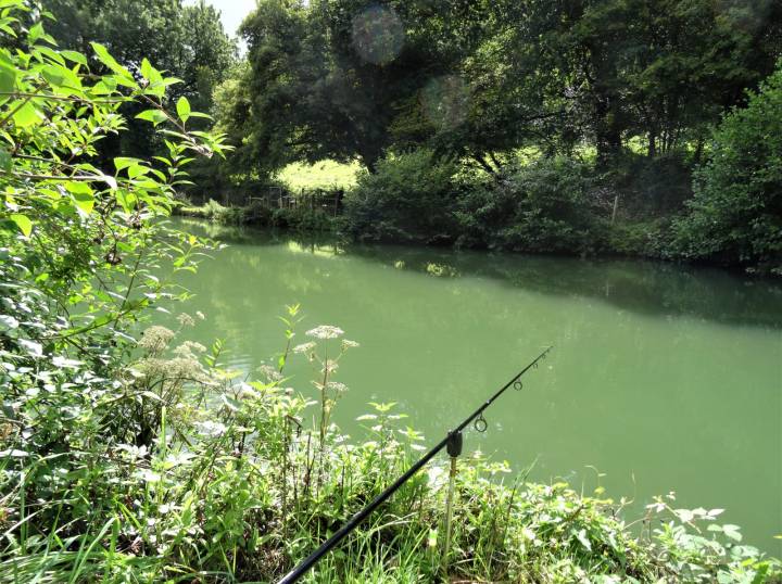 Trip To Coombe Farm Fishery