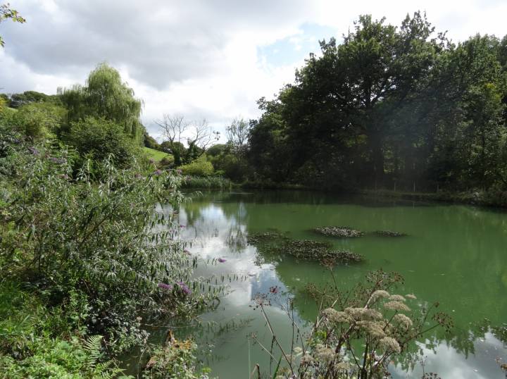 Trip To Coombe Farm Fishery