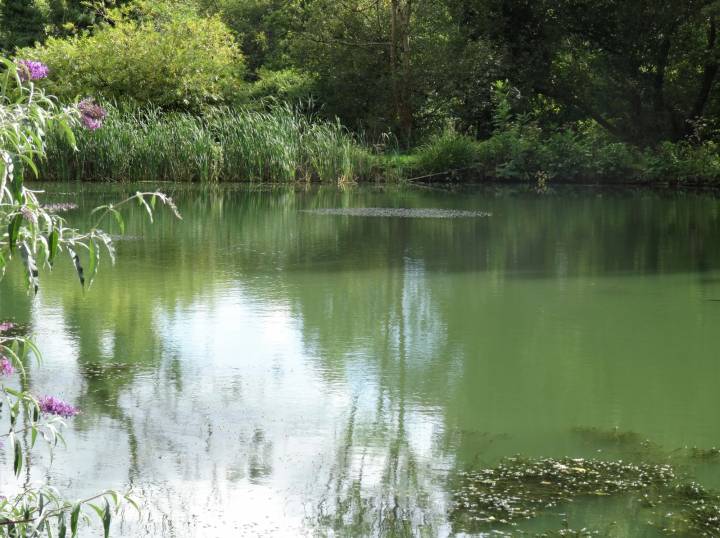 Trip To Coombe Farm Fishery