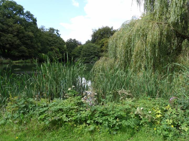 Trip To Coombe Farm Fishery