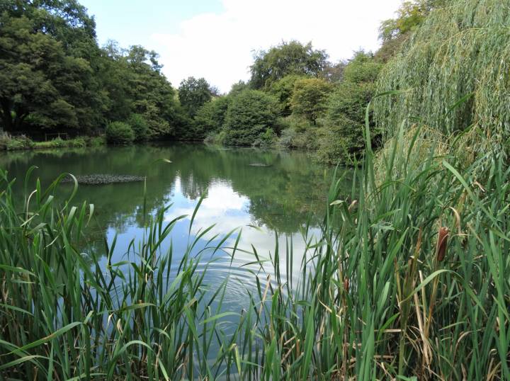 Trip To Coombe Farm Fishery