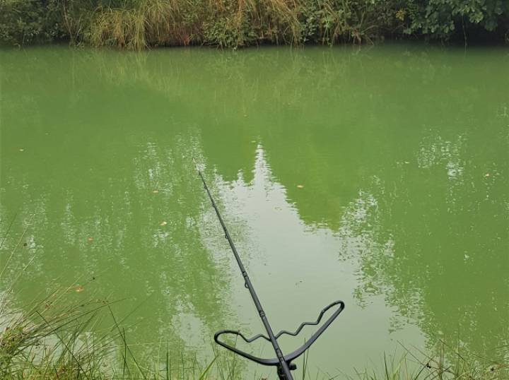 Trip To M And B Fishery