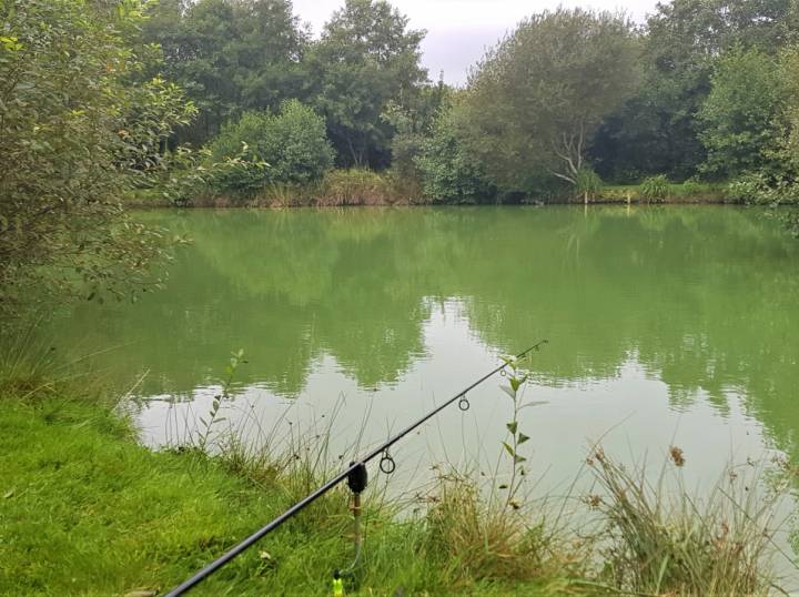 Trip To M And B Fishery