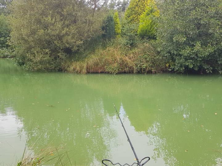 Trip To M And B Fishery