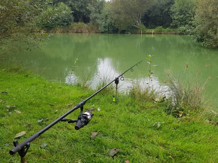 Trip To M And B Fishery