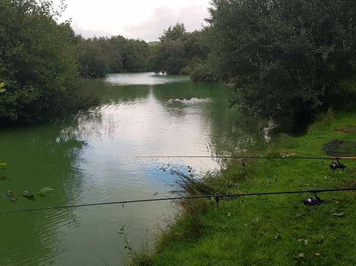 Trip To M And B Fishery