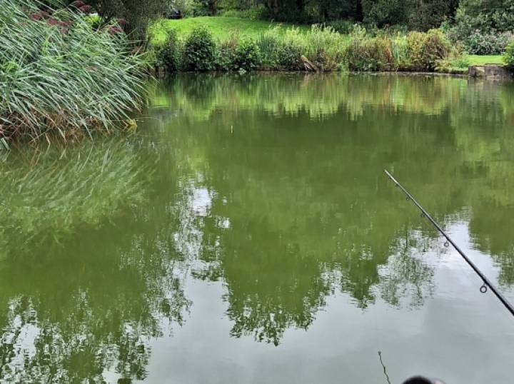 Over Night Stay At Milemead Fisheries