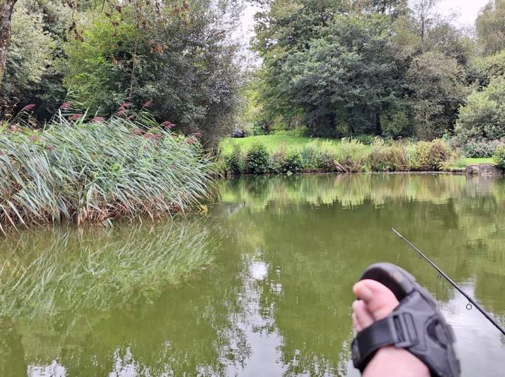 Over Night Stay At Milemead Fisheries