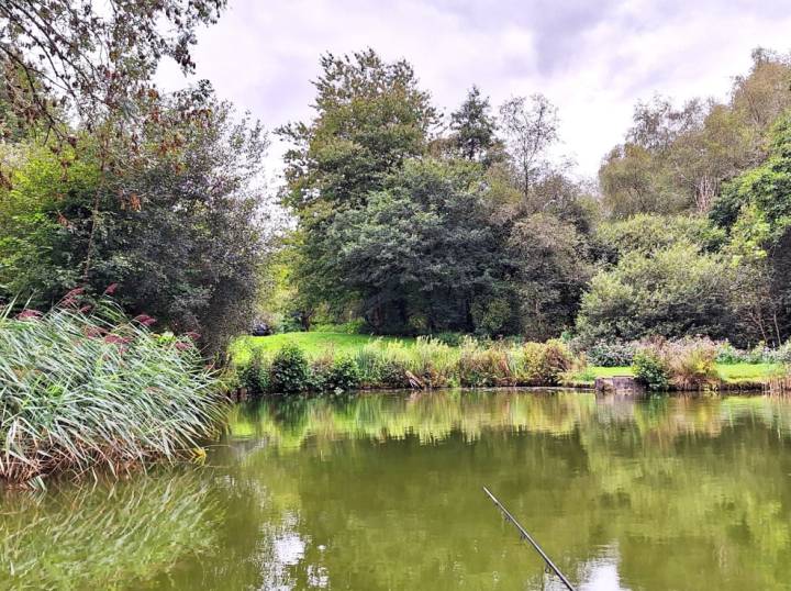 Over Night Stay At Milemead Fisheries