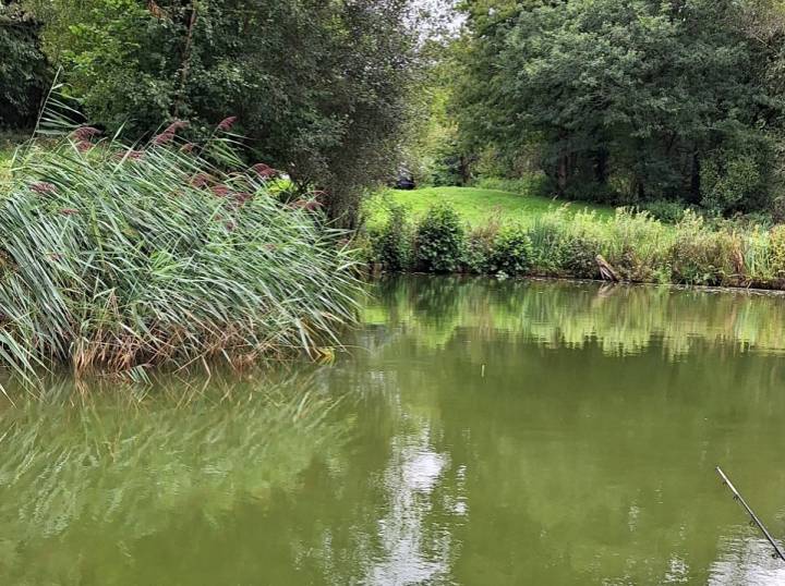 Over Night Stay At Milemead Fisheries